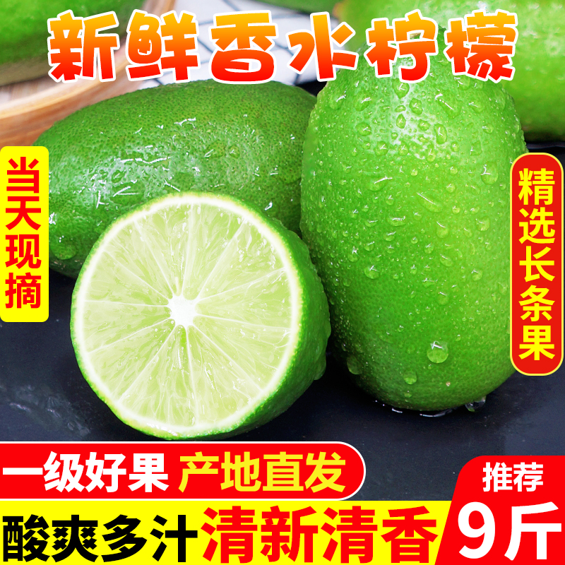 广东香水柠檬无籽现摘奶茶店专用