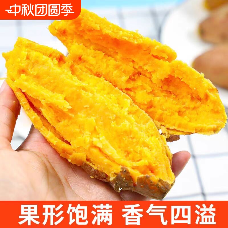 沙地蜜薯红薯番薯正宗新鲜板栗龙九蜜薯地瓜农家软糯自种红心香甜 甜鲜实拍商品图