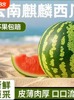 正宗特级新疆吐鲁番火州小西瓜当季新鲜现摘手剥小糖丸