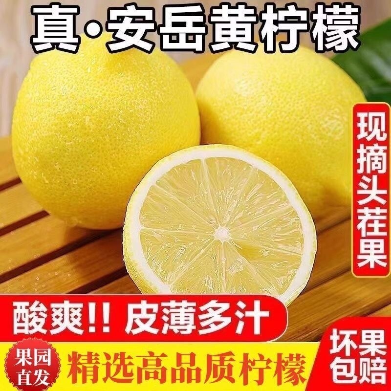 新鲜柠檬四川安岳黄柠檬当季鲜果水果批发商用奶茶店榨汁新鲜现摘
