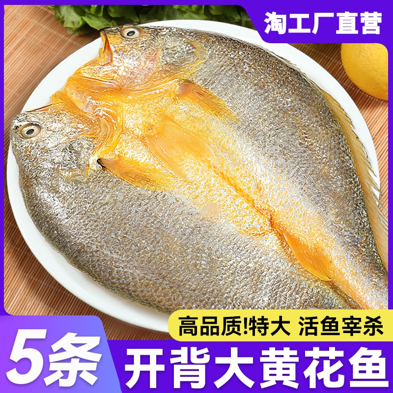 bq黄鱼鲞开背新鲜冷冻黄花鱼三免大黄鱼生鲜小黄鱼烧烤商用半成品