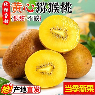 西峡黄心猕猴桃新鲜包邮旗舰店整箱特大果金果奇异果孕妇当季水果