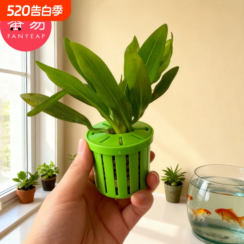 水培定植篮A1vn800-家用种植水草沉底固定器鱼缸水培植物篮造