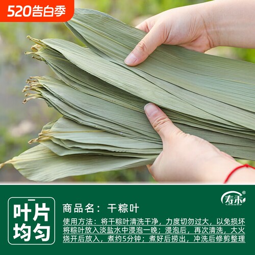 粽子叶干粽叶棕叶新鲜大号家用竹叶包粽子的粽叶特大码叶子斑斓叶