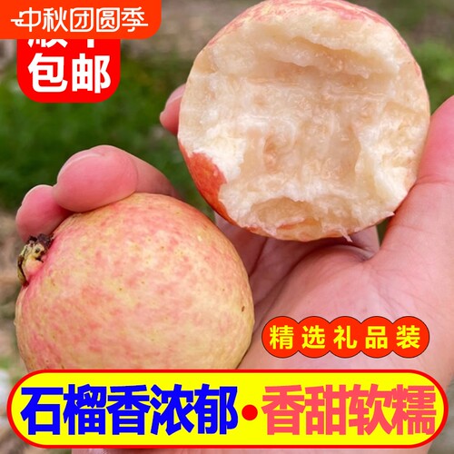 新鲜胭脂红石榴香甜糯奶油芭乐
