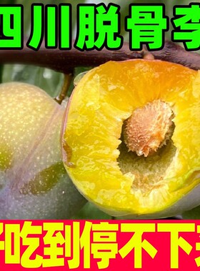 新鲜上市四川半边红李子脱骨青红脆李脆甜多汁孕妇水果