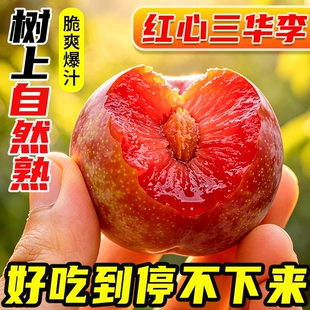 红心三华李子5斤大果新鲜应当季水果红肉酸甜脆爽整箱包邮现摘
