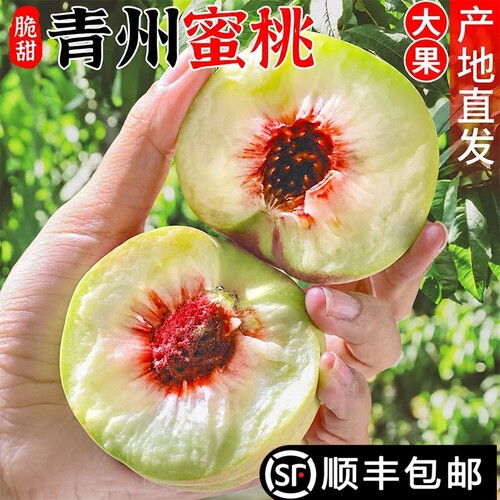 顺丰青州蜜桃山东水蜜桃新鲜时令水果当季现摘整箱脆桃【高品质】