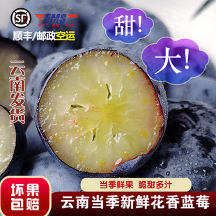 云南当季头茬高山花香蓝莓新鲜水果顺丰包邮一颗蓝莓佳品沃高端
