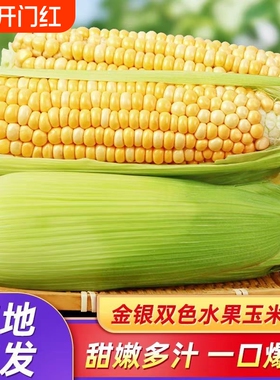 云南水果玉米3/5/9斤带皮现摘甜玉米脆爆浆银新鲜香甜带壳多汁