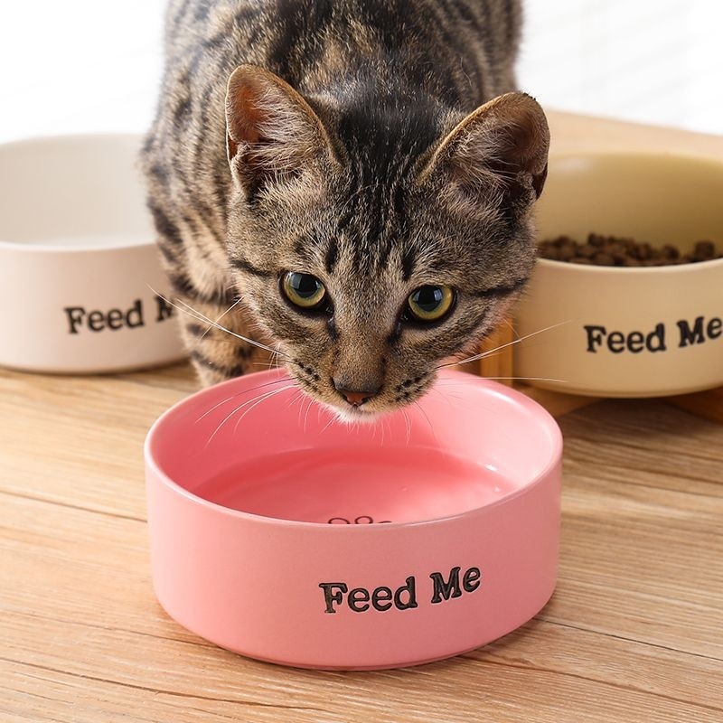 猫碗黑色陶瓷狗碗黑碗猫咪食盆狗盆狗狗喝水猫粮碗宠物水碗防打翻,宠物/宠物食品及用品,猫狗碗/慢食碗,淘宝优惠券,粉丝福利购,淘宝优惠卷