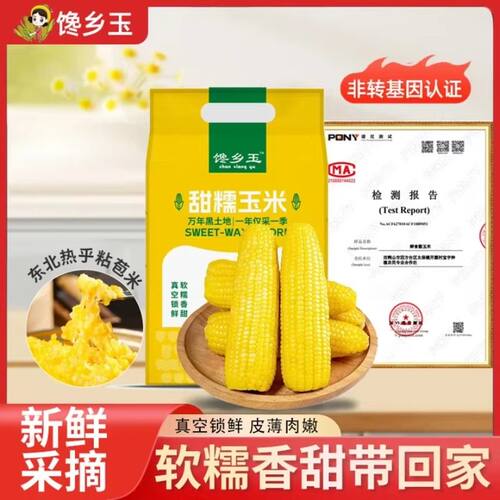 东北正宗甜糯玉米头茬玉米8支装加热即食真空独立包装颗粒饱满
