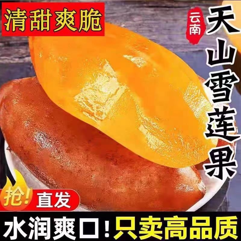 正宗云南天山雪莲果细嫩多汁清甜脆爽新鲜水果爆汁甘甜产地包邮,水产肉类/新鲜蔬果/熟食,雪莲果,淘宝优惠券,粉丝福利购,淘宝优惠卷