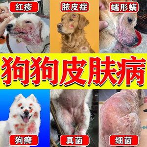 狗狗皮肤病外用药治疗狗癣真菌感染脱毛螨虫皮炎狗藓宠物专用喷剂