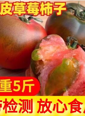 顺丰包邮正宗铁皮草莓柿子新鲜当季西红柿生吃水果东北番茄酸甜口