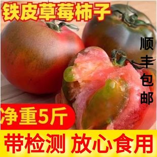 西红柿生吃水果东北番茄酸甜 正宗铁皮草莓柿子新鲜当季 顺丰 包邮