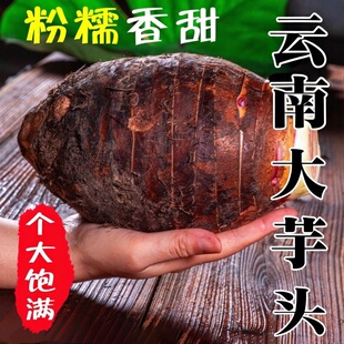 包邮 2026当季 新鲜芋头天然农家自种大果商用新鲜现挖产地直发粉糯