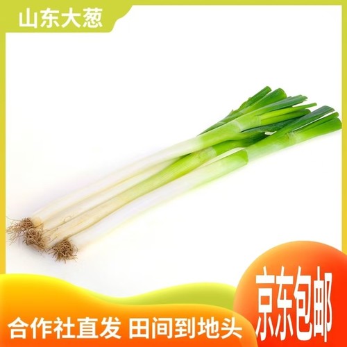 山东大葱铁杆新鲜蘸酱嫩葱特级章丘甜葱批发东北特产整箱京东包邮