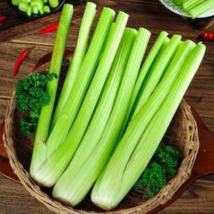 西芹优选新鲜西芹正宗水果西芹生吃榨汁现割农家芹菜自然低糖挑夫