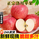 顺丰 新鲜水果时令脆甜一级果整箱 正宗陕西洛川苹果红富士应当季