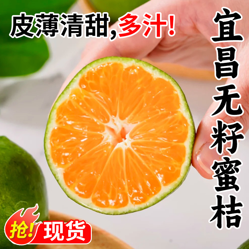 正宗宜昌蜜桔3斤橘子现摘现发蜜橘新鲜水果当季无籽青皮柑橘包邮