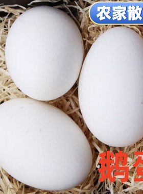 农家大鹅蛋土鹅蛋新鲜大白鹅鹅蛋现捡现发营养健康农家散养