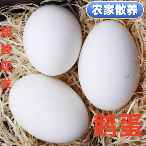 农家大鹅蛋土鹅蛋新鲜大白鹅鹅蛋现捡现发营养健康农家散养