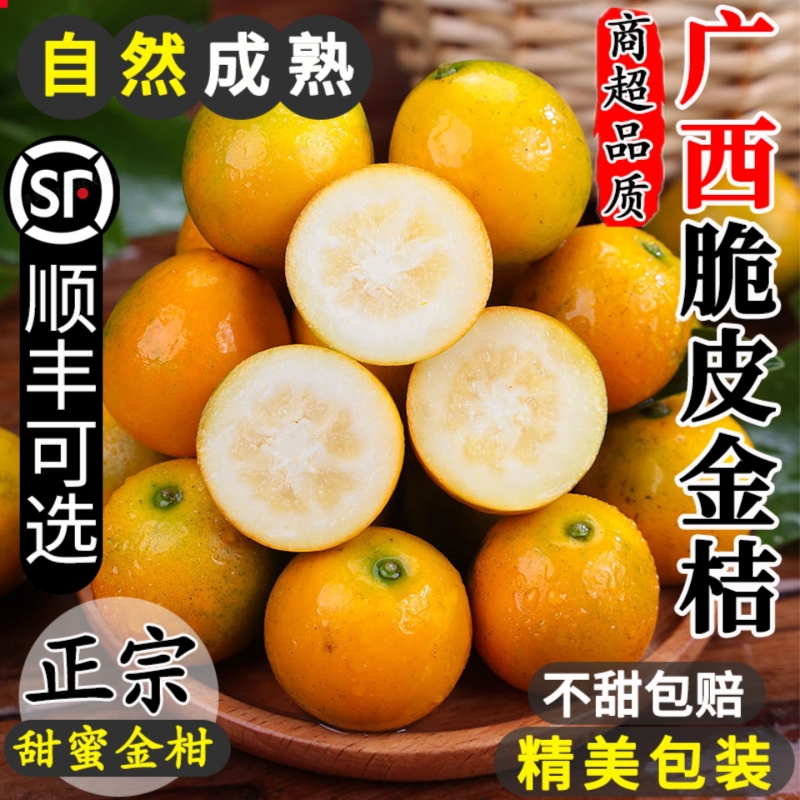 广西融安脆皮金桔鲜果5斤小金橘子应当季新鲜水果蜜金柑整箱包邮