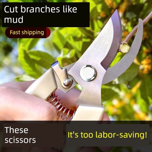 剪树枝剪刀专用花剪园艺园林修枝园丁剪嫁接强力采摘修水果树修剪
