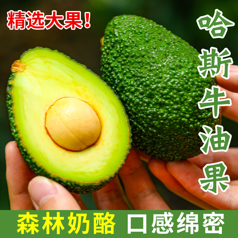 国产现摘哈斯牛油果2/4/6/8个宝宝辅食孕妇水果品质森林奶油