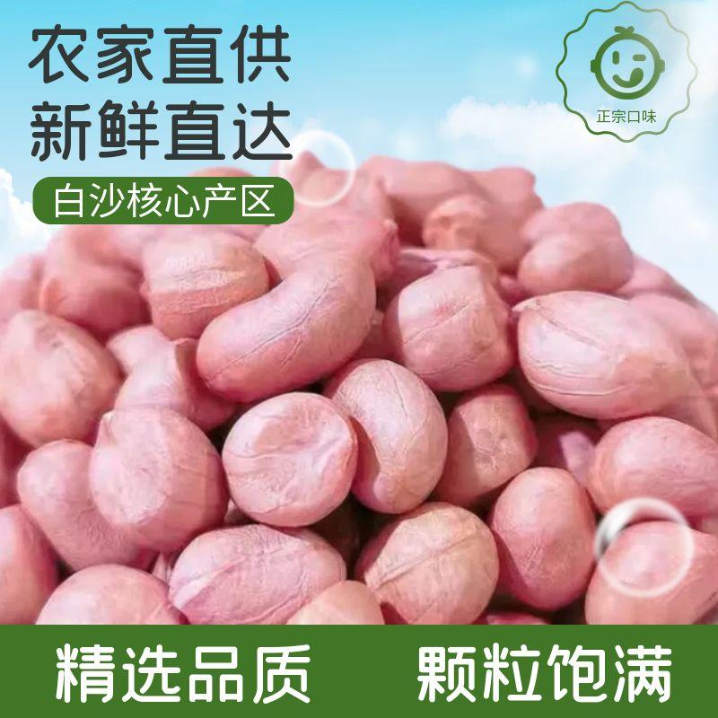 当季新货花生米不带壳生花生米花生仁新鲜白沙花生米颗粒饱满榨油