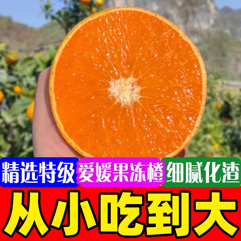 现摘正宗四川爱媛38号果冻橙整箱包邮鲜果新鲜水果手剥甜橙子