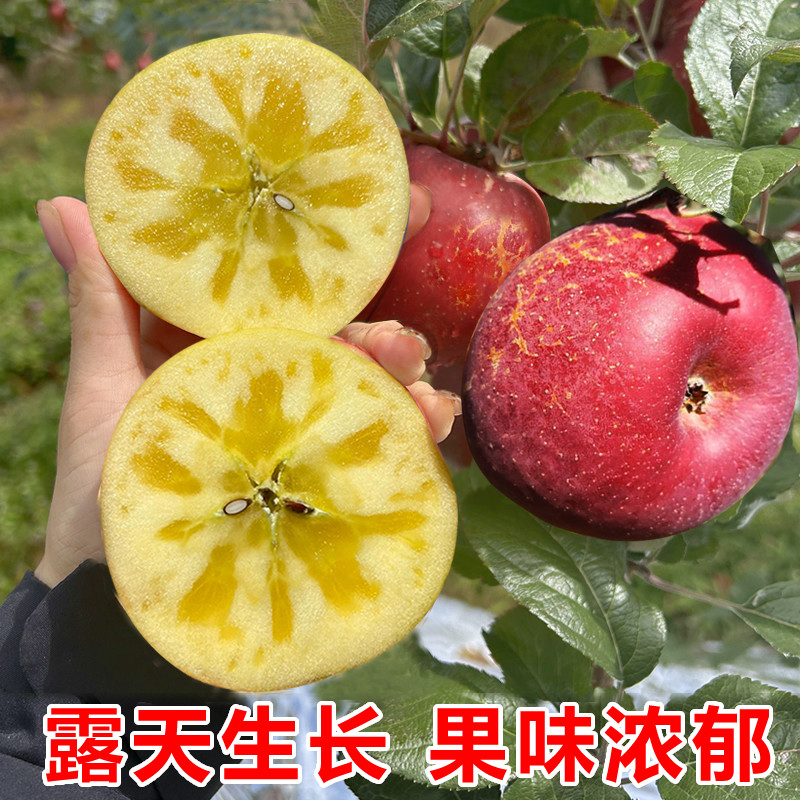 2025年云南正宗丑苹果冰糖心大理苹果新鲜水果红富士红将军脆爽甜,水产肉类/新鲜蔬果/熟食,苹果,淘宝优惠券,粉丝福利购,淘宝优惠卷