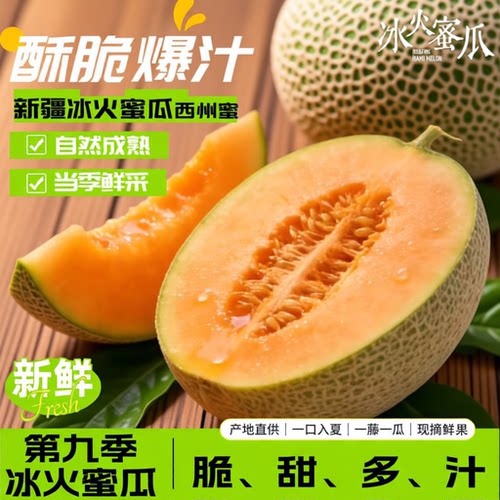 正宗新疆哈密瓜西州蜜25号