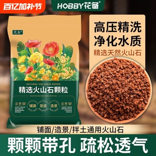 火山石颗粒多肉兰花专用颗粒土铺面石鱼缸底砂滤材火山岩花盆土壤