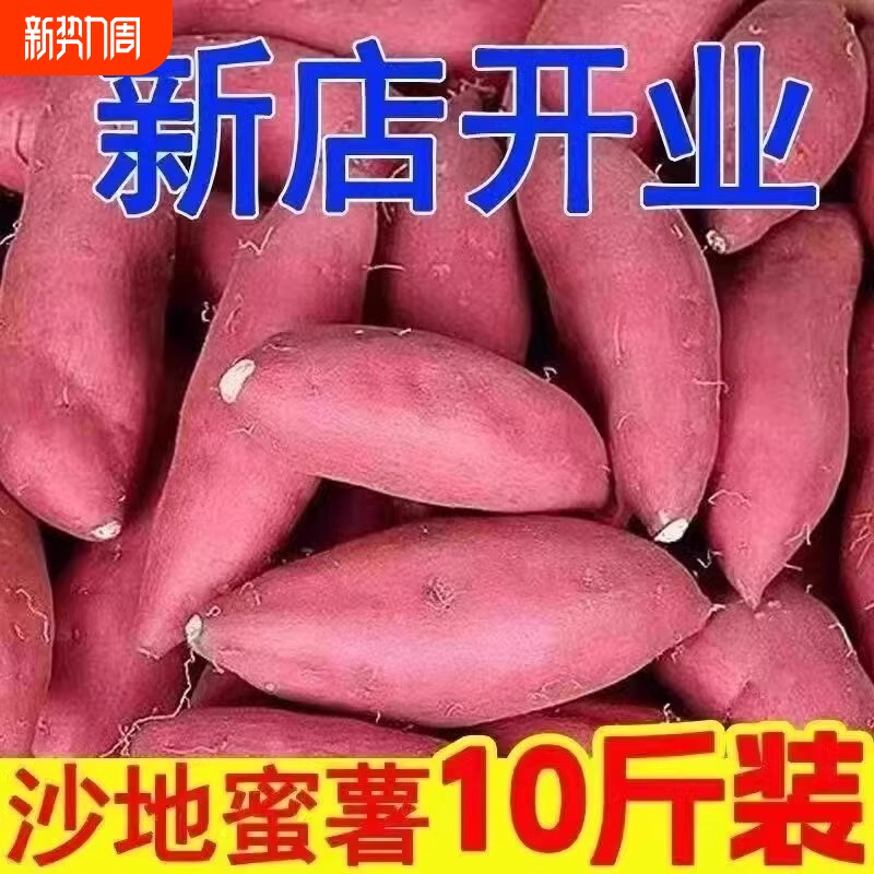 新鲜地瓜沙地番薯板栗红薯黄心蜜薯粉糯自种河南山芋农家自种10斤