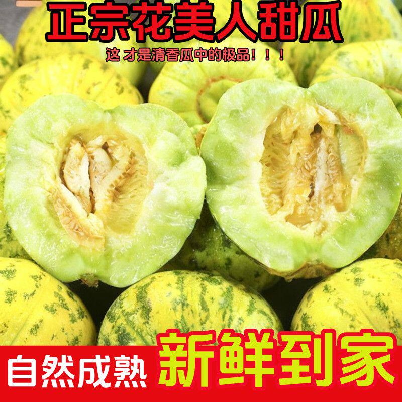 正宗山东应当季八里香花美人甜瓜头茬花姑娘香瓜花蕾脆瓜头茬现摘