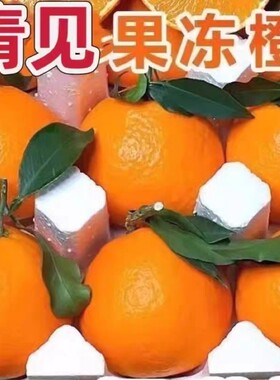 四川青见柑橘桔子当季新鲜时令水果现摘现发柑非耙耙橘