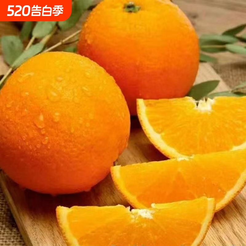 橙子品质脐橙新鲜当季应当季水果礼盒酸甜南方水果整箱多汁包邮