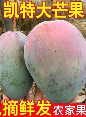 正宗凯特芒果新鲜大芒果9斤当季水果大脸芒攀枝花整箱应季芒果新