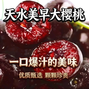 天水大樱桃红灯美早俄八新鲜当季现摘孕妇水果脆甜多汁冷链包邮