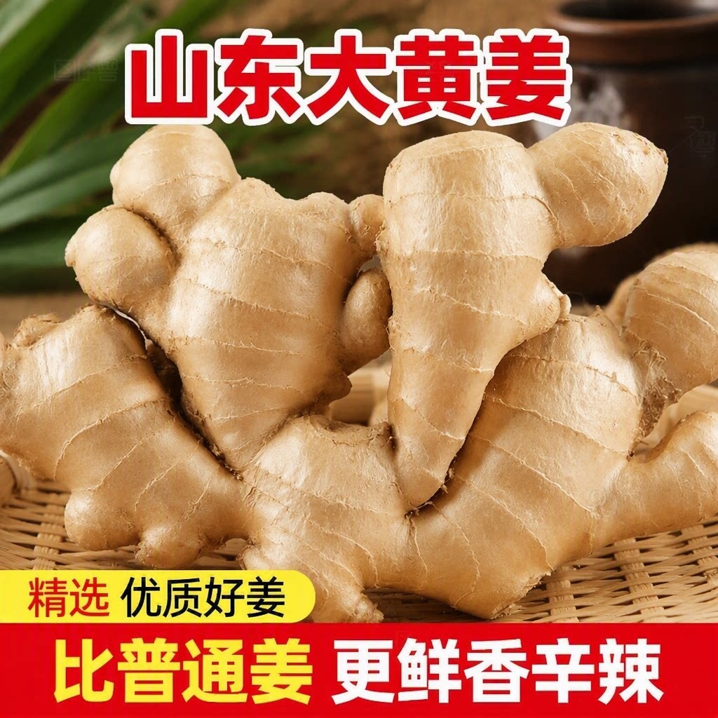山东生姜大姜老姜新鲜黄姜土姜现挖子姜嫩姜鲜姜牙自提优质食用