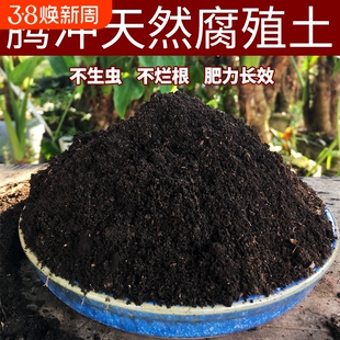 云南腐叶土养花种菜专用种植土壤通用型营养土腐熟松针腐殖土疏松