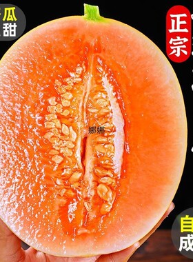 甘肃民勤蜜瓜脆甜多汁