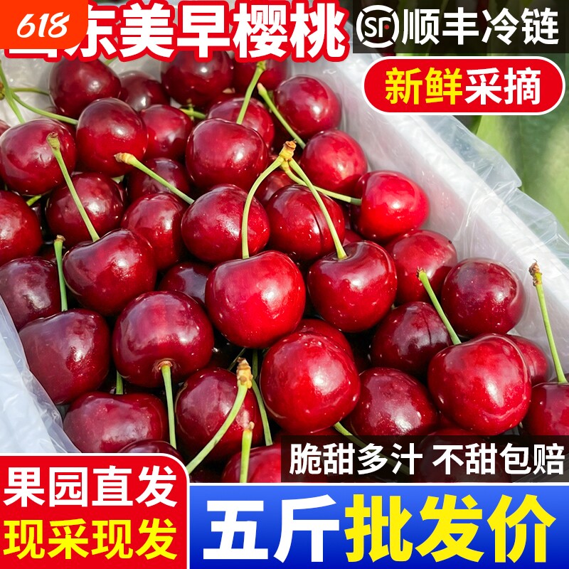 山东美早大樱桃新鲜国产车厘子特大果整箱顺丰5斤送达次日鲜果