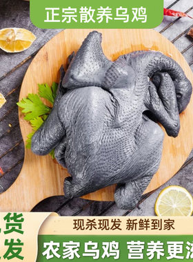 乌鸡新鲜现杀农家散养白羽乌骨鸡整只炖汤滋补1050g/只