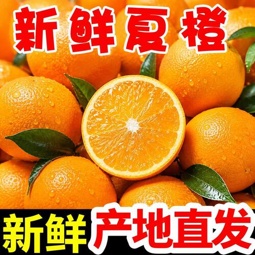 正宗夏橙脐橙子新鲜水果当季手剥橙秭归脐橙应季橙子甜橙整箱包邮
