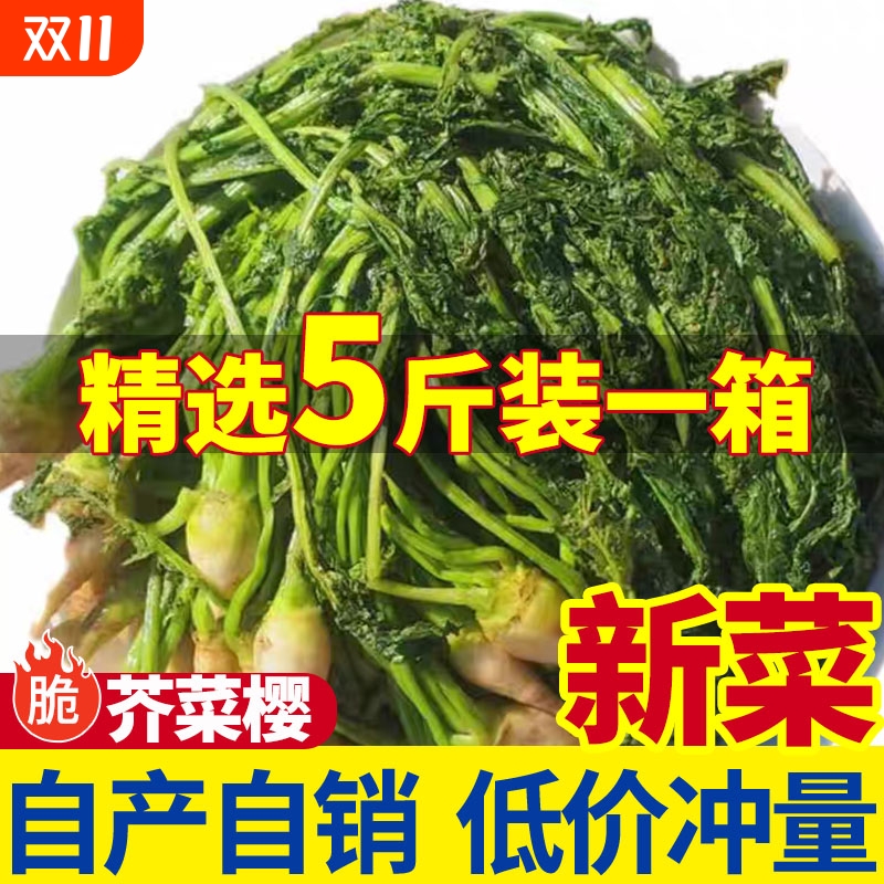 25年新菜东北芥菜樱子5斤炖豆腐