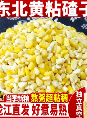 东北黄粘玉米碴子5斤新玉米碴农家大渣粥粗粮非转基因茬子芸豆