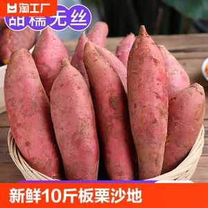 新鲜蜜薯10斤板栗红薯沙地糖心地瓜农家自种番薯现挖烟薯香薯山芋